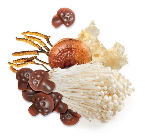 MycoGummies MycoMedica